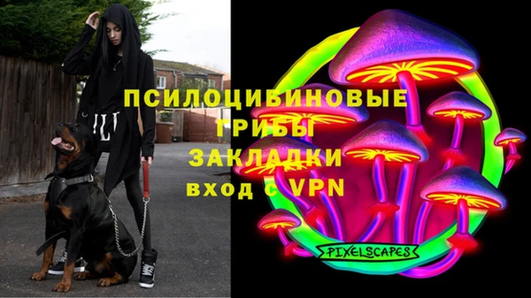ALPHA-PVP Кинешма