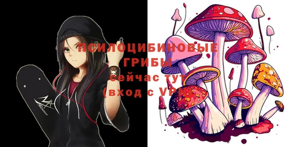 ALPHA PVP Киренск